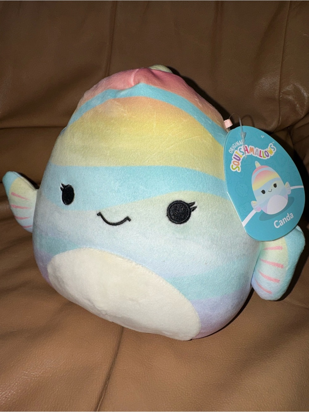 Canda the striped fish 8” squishmallow